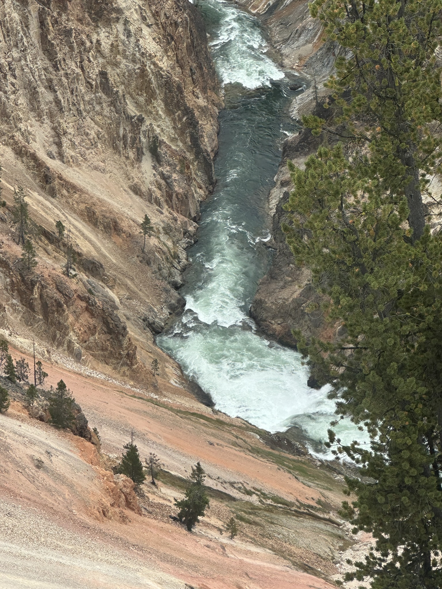 Yellowstone And Grand Teton National Parks - Image 646
